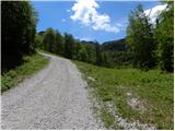 Ukanc - Planina Zadnji Vogel